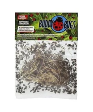 Buddy Bugs 1500 Fresh Live Ladybugs for Garden | Guaranteed Live Delivery