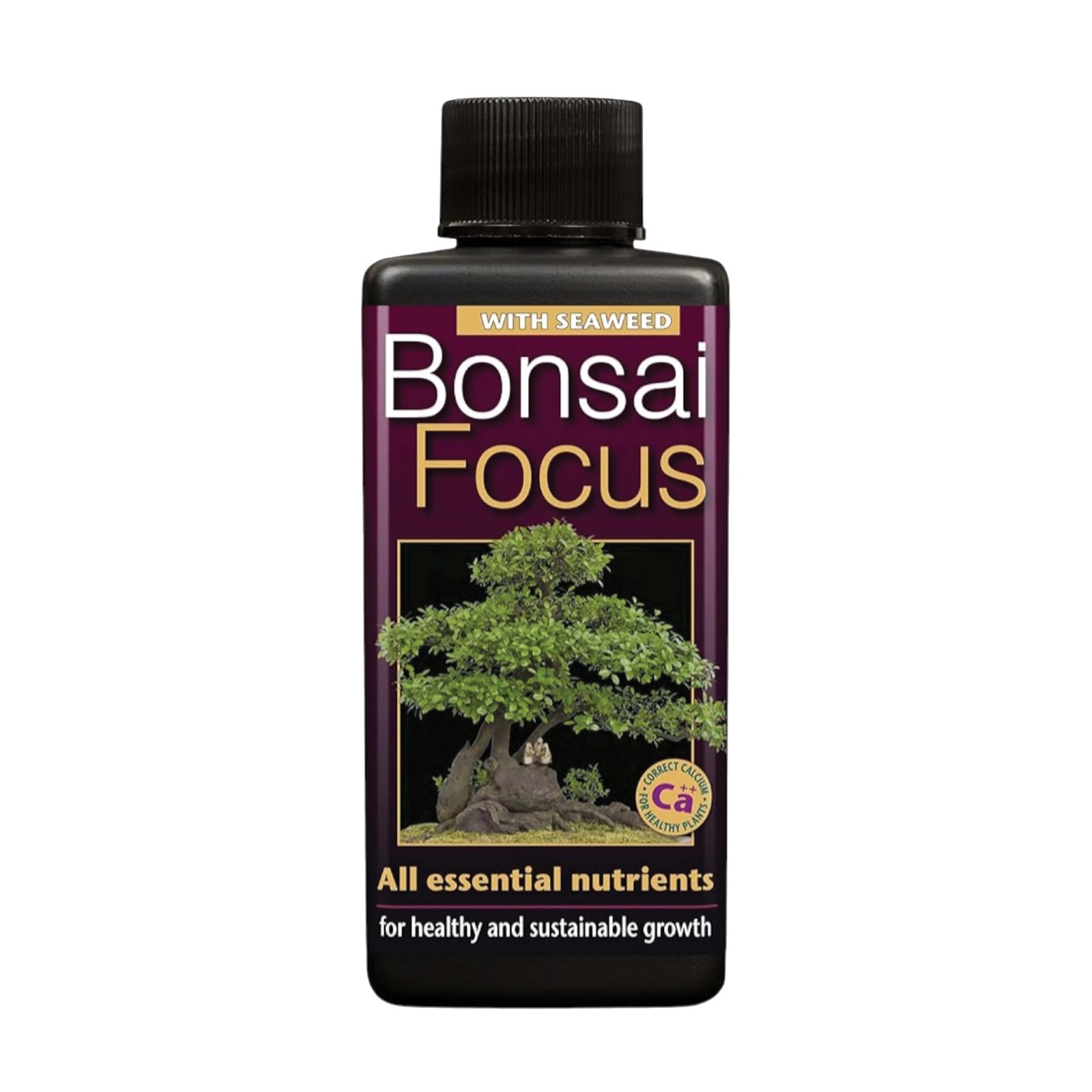 Bonsai Focus Liquid Concentrated Fertiliser 100ml with seaweed Nutrients Riched