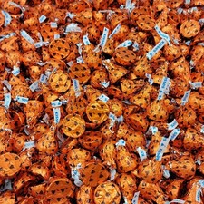 Hershey's Kisses Whole Hazelnut, Filling in Rich Milk Chocolate Candy (5 Pounds)