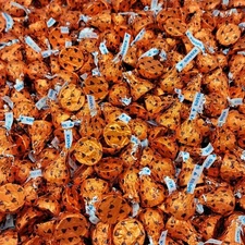 Hershey's Kisses Whole Hazelnut, Filling in Rich Milk Chocolate Candy (5 Pounds)