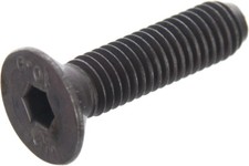 Lapierre Spicy/Zesty DT Protector Short Screw