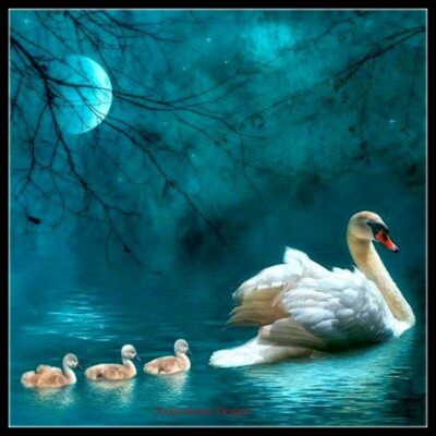 Swan Lake - DIY Chart Counted Cross Stitch Patterns Needlework 14 ct Aida    
