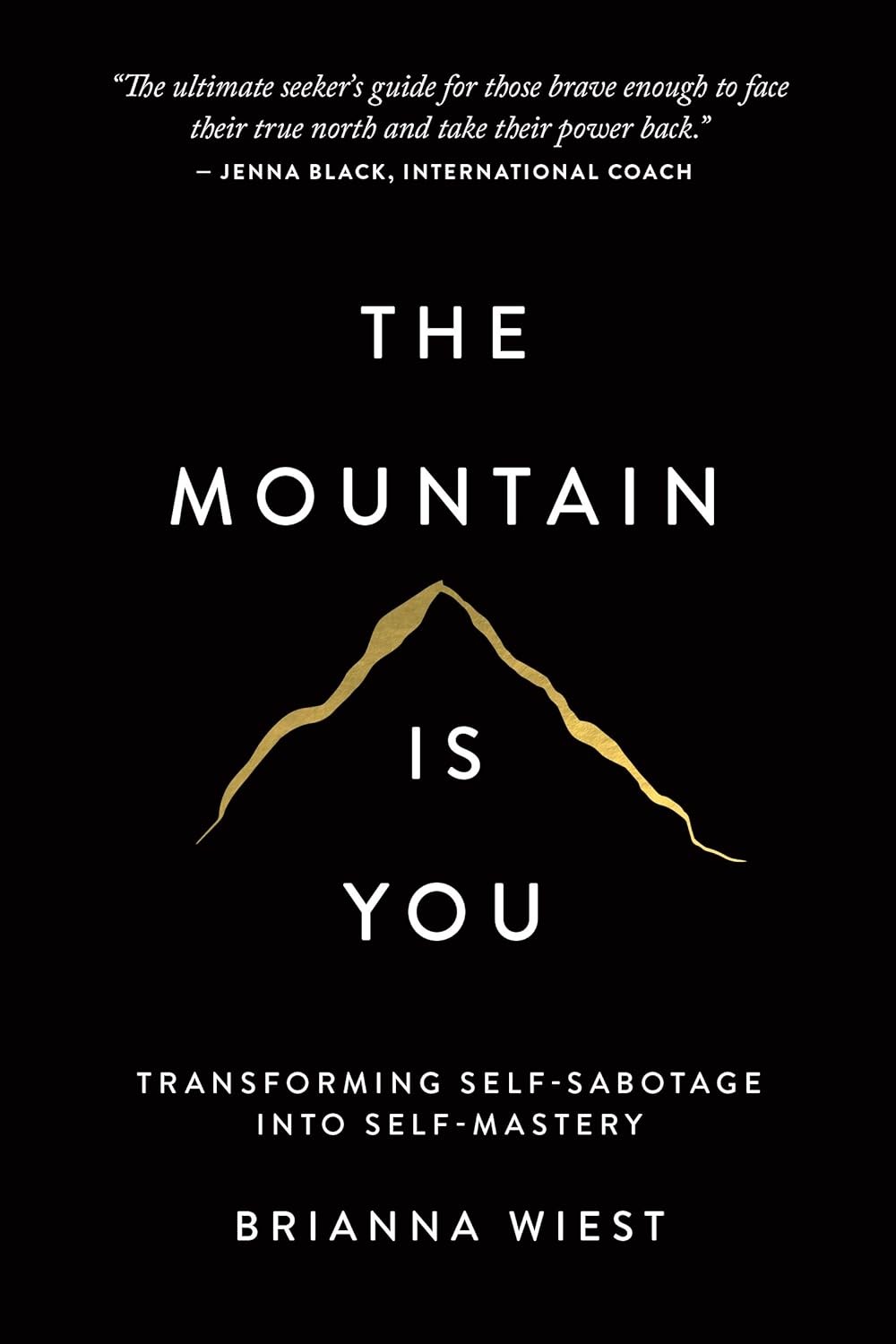 The Mountain Is You: Transforming Self-Sabotage Into Self-Mastery - Image 3