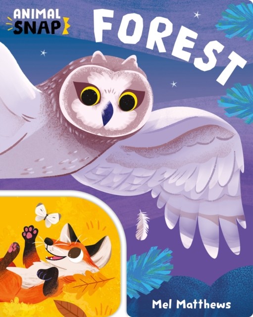 Animal Snap: Forest (Board book)