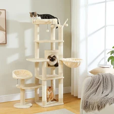 Cactus Tall Cat Tree for Large Cat Multi-Level Cat Tower for Indoor Cats Cat Con