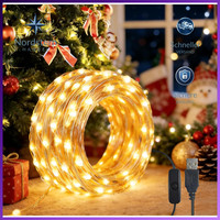 LED Lichterkette 10M 100LED Kupferdraht USB Mit Schalter FüR Dekoration