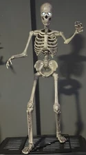 NEW - Home Depot 3 FT. LED Skeleton Home Accents  12Ft Replicate) GRAVE & BONES