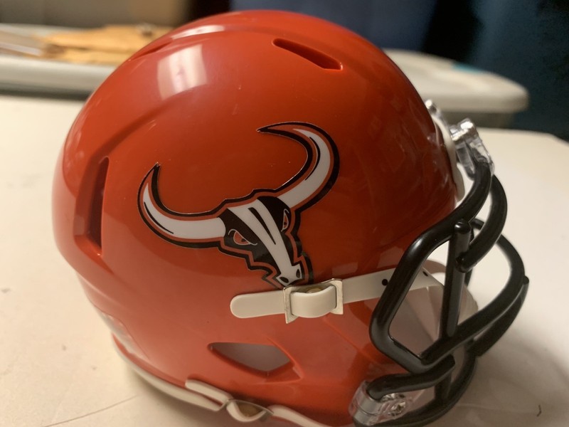 PIFL/IPFL ARENA LEAGUE OMAHA BEEF RIDDELL Style Mini Helmet Rare New 2000’s