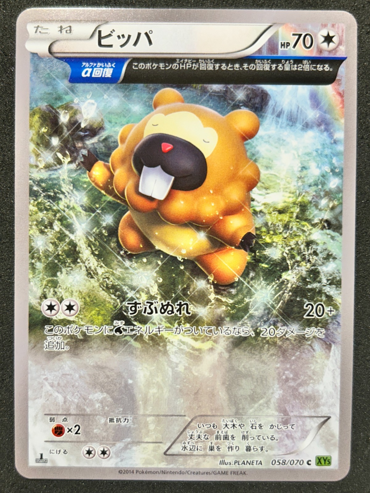 [NM] Bidoof 058/070 Alpha 1st Edition XY5 Tidal Storm Japanese Pokemon