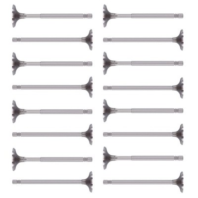 16x Einlassventil + Auslassventil für Audi A3 Skoda Fabia VW Bora Golf 1,4 1,6