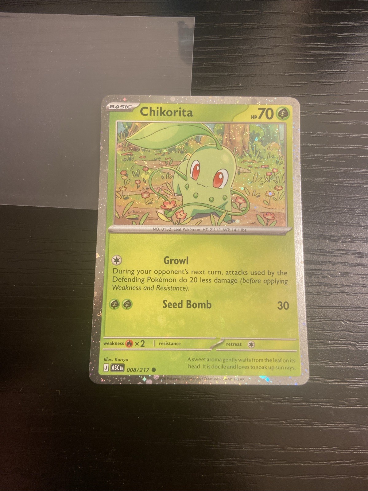 Chikorita 008/217 (Cosmos Holo) Common Ascended Heroes Promo Pokemon NM