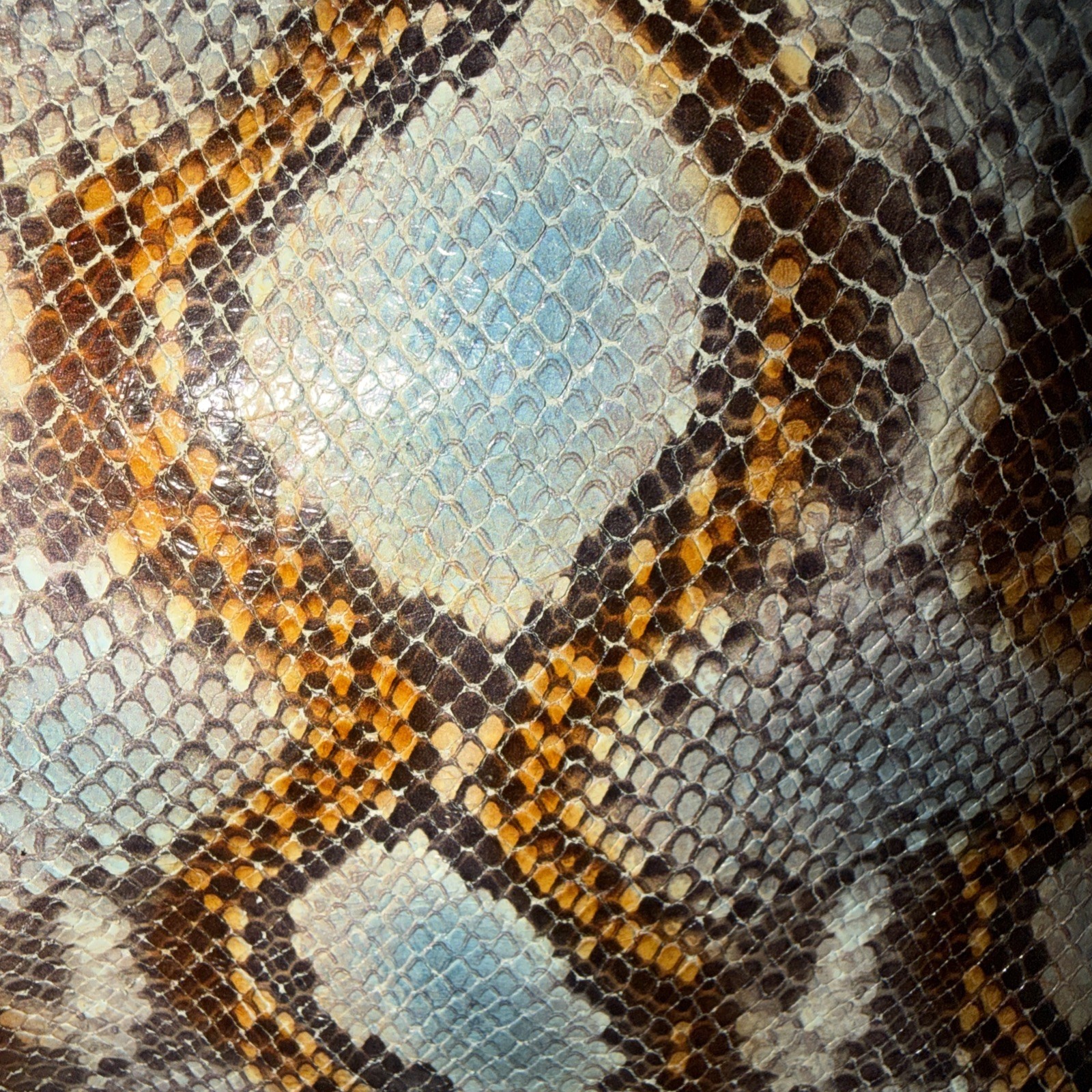 Rare Dooney & Bourke Florentine Python Satchel Le… - image 3