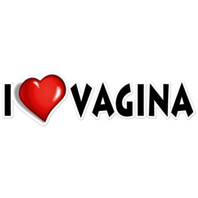 I Love Heart Vagina - Vinyl Decal Sticker - Car Window Laptop - ebn8286