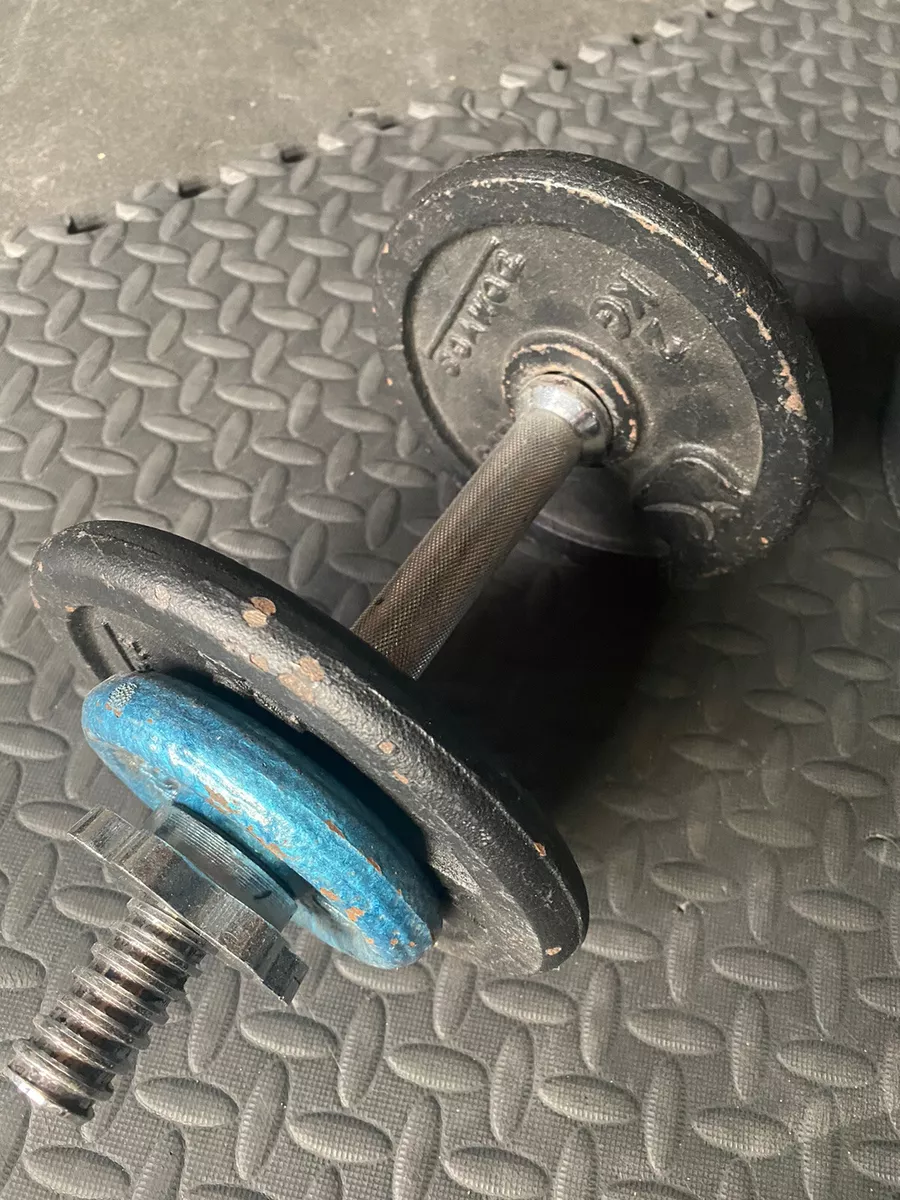 Adjustable Cast Iron Pair Of Dumbbells Used Weights Gym Equipment