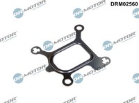 Dichtung, KÜHlmittelflansch FÜR Ford C-MAX (DM2) - Dr.Motor Automotive DRM02560
