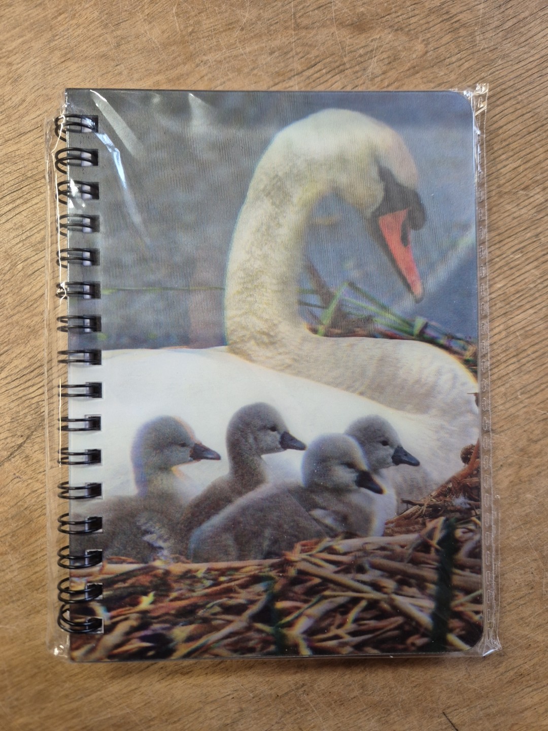 Swan with Cygnets notebook Swans Bird Notebooks A6 lined Notepad Birds nature