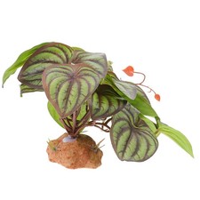  Pianta Artificiale Piante Per Terrario Rettili Finte Di Accessori L'habitat Dei