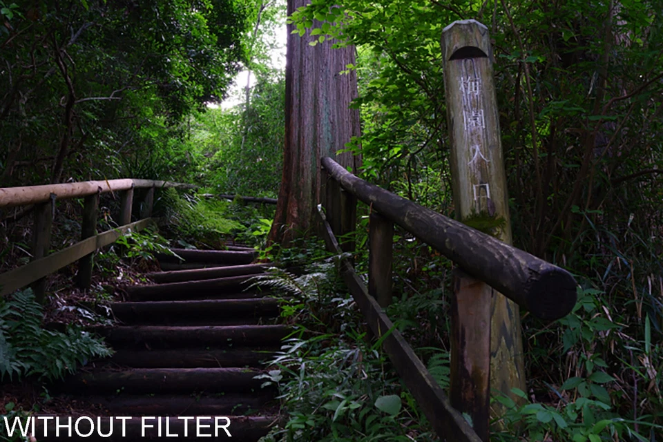 HOYA Mist Diffuser Black No 0.5 Camera Lens Filter - Image 4 of 4