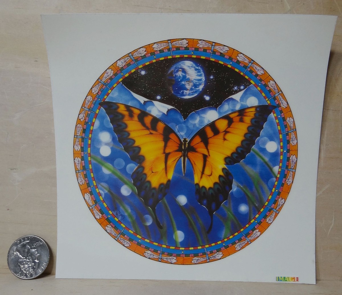 【T10081】DOOSYCOOKIE/COSMIC BUTTERFLY T10081】DOOSYCOOKIE/COSMIC BUTTERFLY Amethyst Quartz