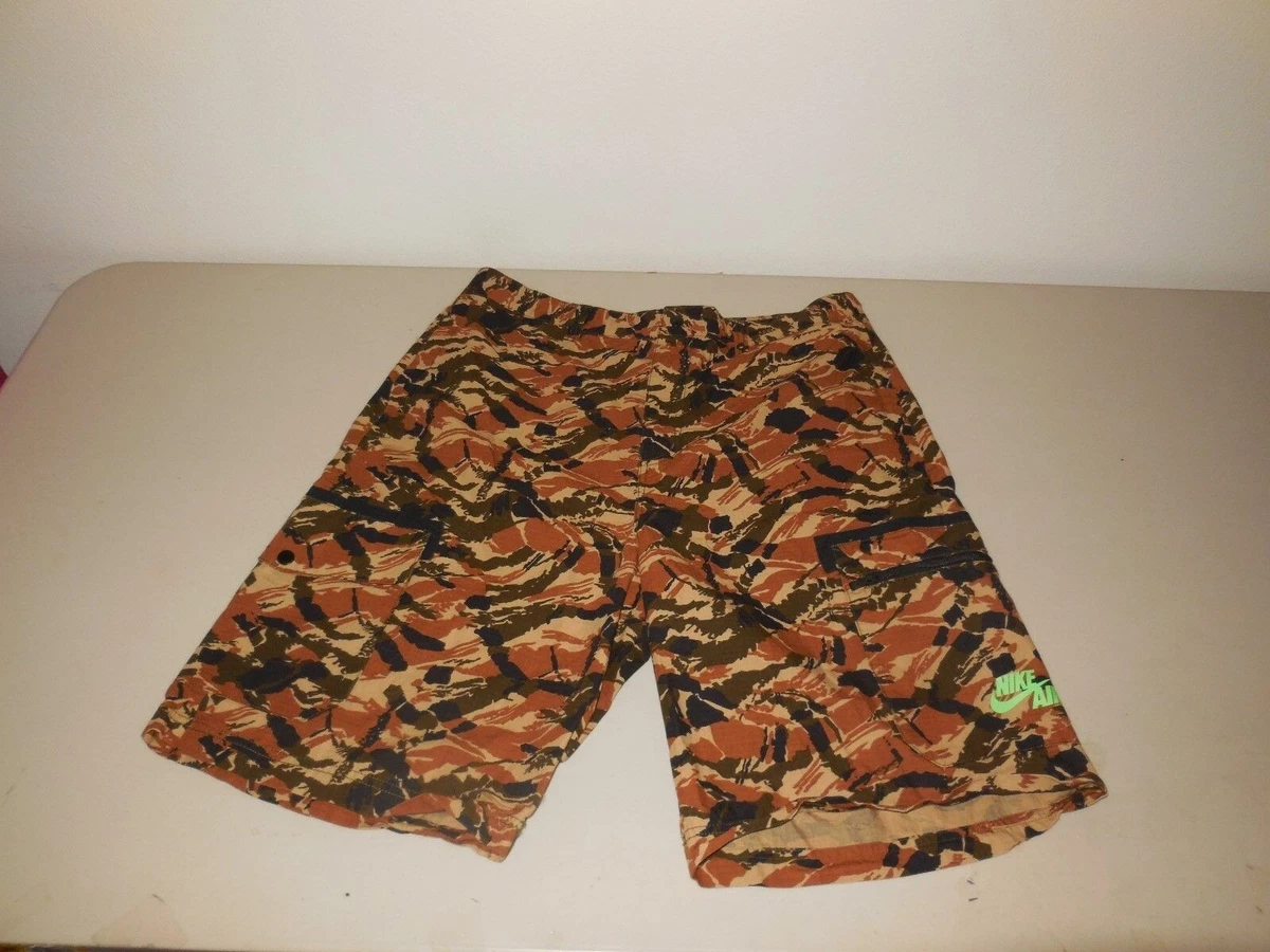 Nike sb hotsell shorts camo