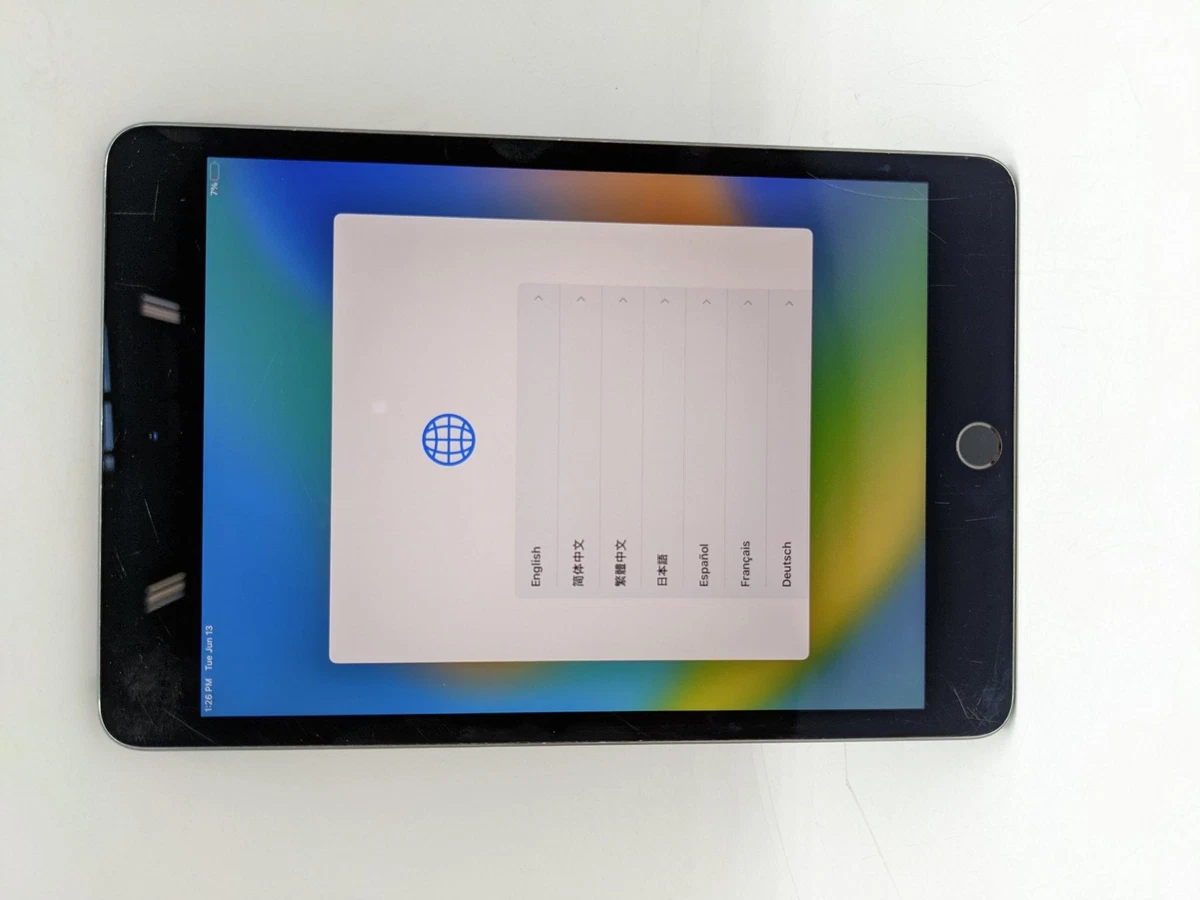 iPad mini 5 (2019) 64GB - Space Gray - (Wi-Fi) - Grade D | eBay