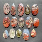 1060CTS / [30Pcs] Top Grade 100% Natural Indonesian MOSS AGATE OVAL Gemstone lot