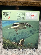 Egyptian Vulture, 1976 Editions Recontre 4 3/4" x 4 3/4" Card
