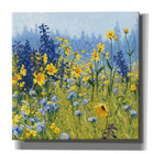 Epic Graffiti Joyful In July Iii By Shirley Novak Canvas Wall Art 26X26