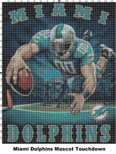 ebay miami dolphins