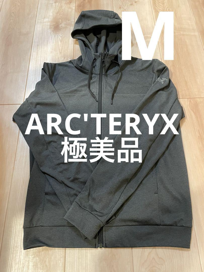 Theday Or Next Arcteryx Thro Kung Hoodie Grey M