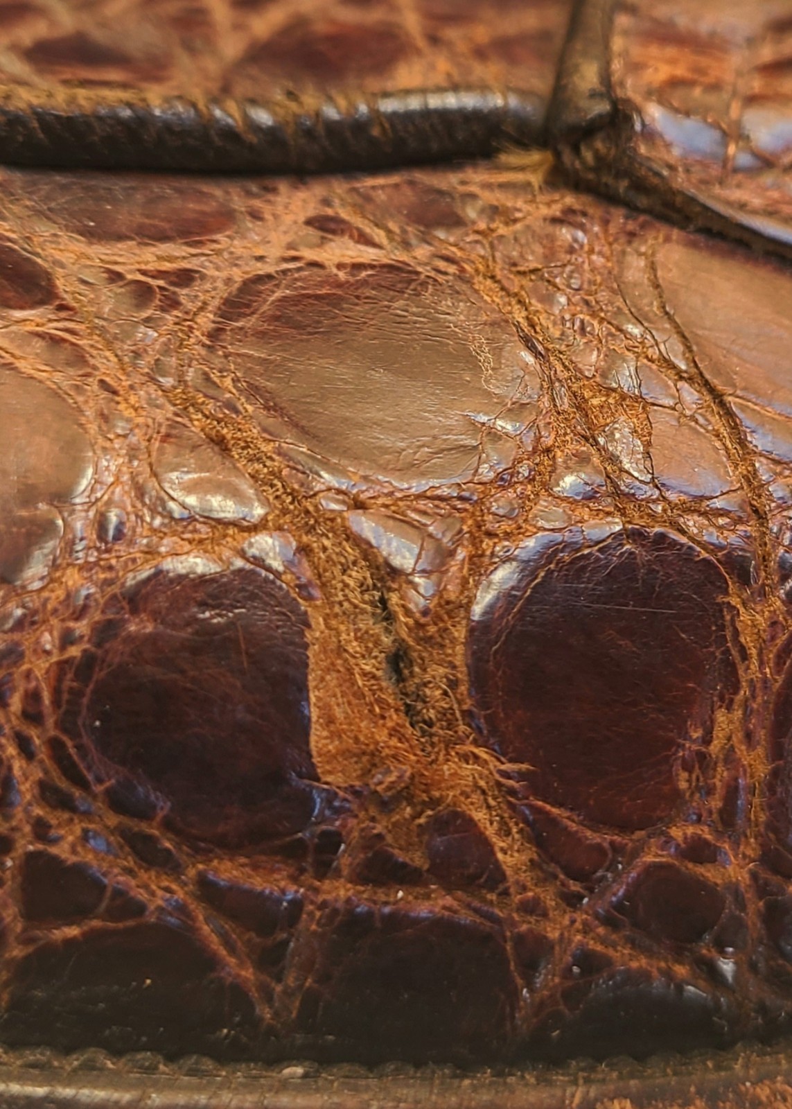 Nettleton Alligator Split Toe  Lace Up Approx Siz… - image 11