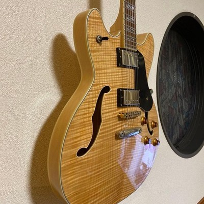 Washburn HB-35 NK Semi-Hollow Electric Guitar Natural Flame Maple