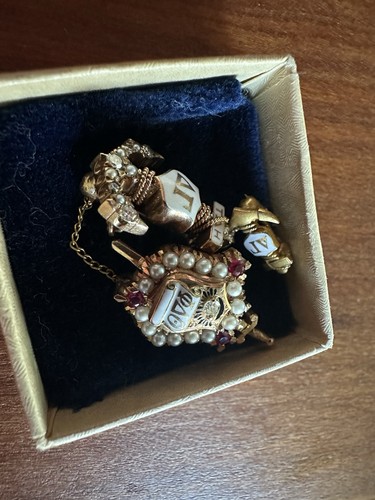 Vintage 14K Yellow Gold Phi Delta Theta & Delta Gamma Pins Diamonds Ruby - Picture 10 of 12