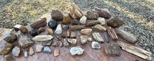 AMAZING LOT* 51 Pcs~17 Lbs Petrified Fossil Wood Pieces Beautifully Detailed 
