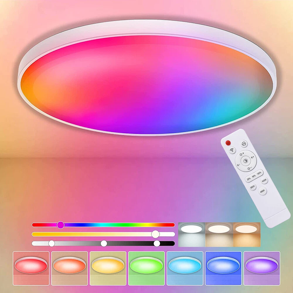 24W LED Flush Mount Ceiling Light Memory Function Dimmable Color Changing Lamp