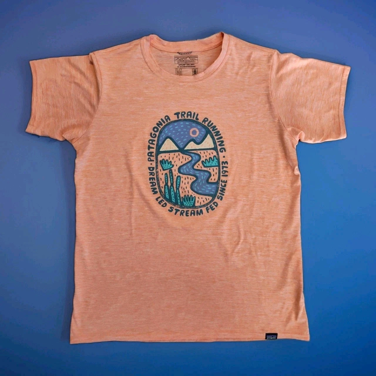 PATAGONIA Women Capilene Cool Daily Graphic Trail Running T Shirt M Orange UPF