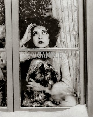 CLARA BOW Peering Through Window with Pet Dog Photo   (226-F)