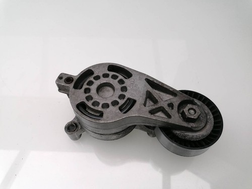 06F903315 KEILRIPPENRIEMENSPANNER / 563864 für VOLKSWAGEN GOLF V BERLINA (1K1)