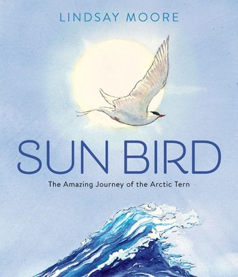 Lindsay Moore Sun Bird: The Amazing Journey Of T (Gebundene Ausgabe) (US IMPORT)