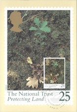 1995 Royal Mail PHQ Stamp Card The National Trust Protecting Land Oak Sapling