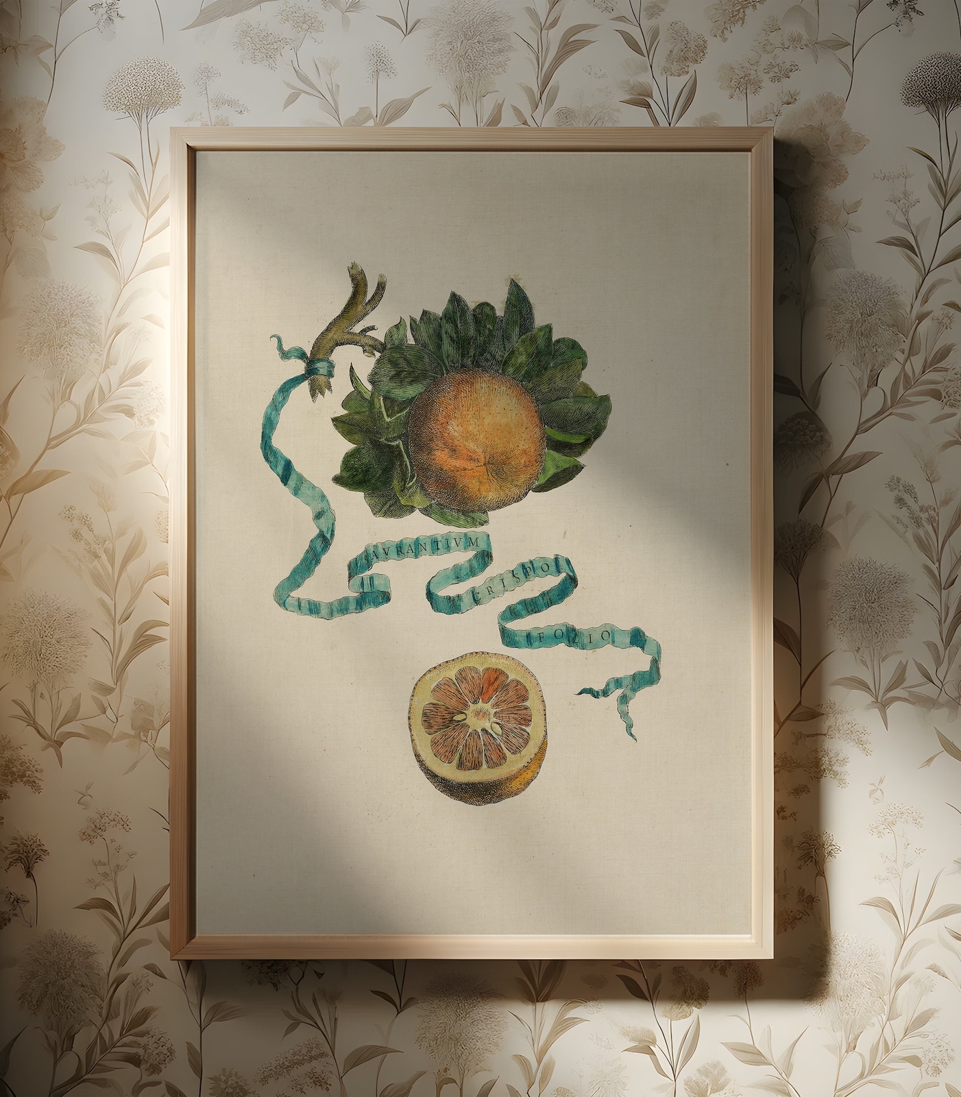 Vintage Botanical Wall Art Citrus Art Kitchen Neutral Wall Art Aesthetic Room