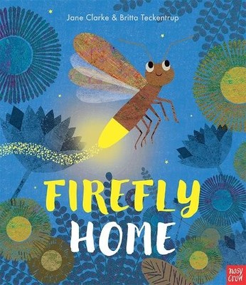 Firefly Home (Neon Picture Books) by Jane Clarke Book The Fast Free Shipping