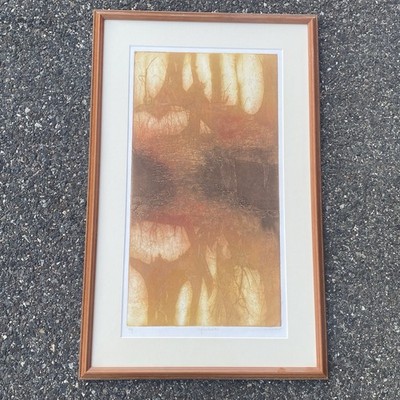 RUTH RODMAN Original Etching ''Reflection 3 '' Signed  ARTIST PROOF Framed 32 x 20