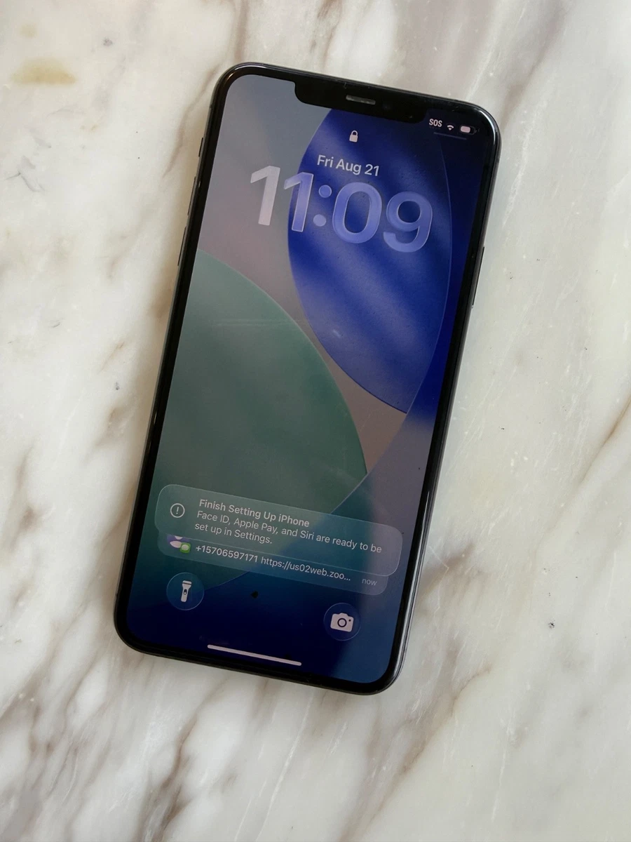 iPhone 11 Pro Max 256GB Network Unlocked for Sale - Shop New