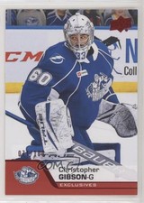 2020-21 Upper Deck AHL Exclusives 71/100 Christopher Gibson #111 1tr