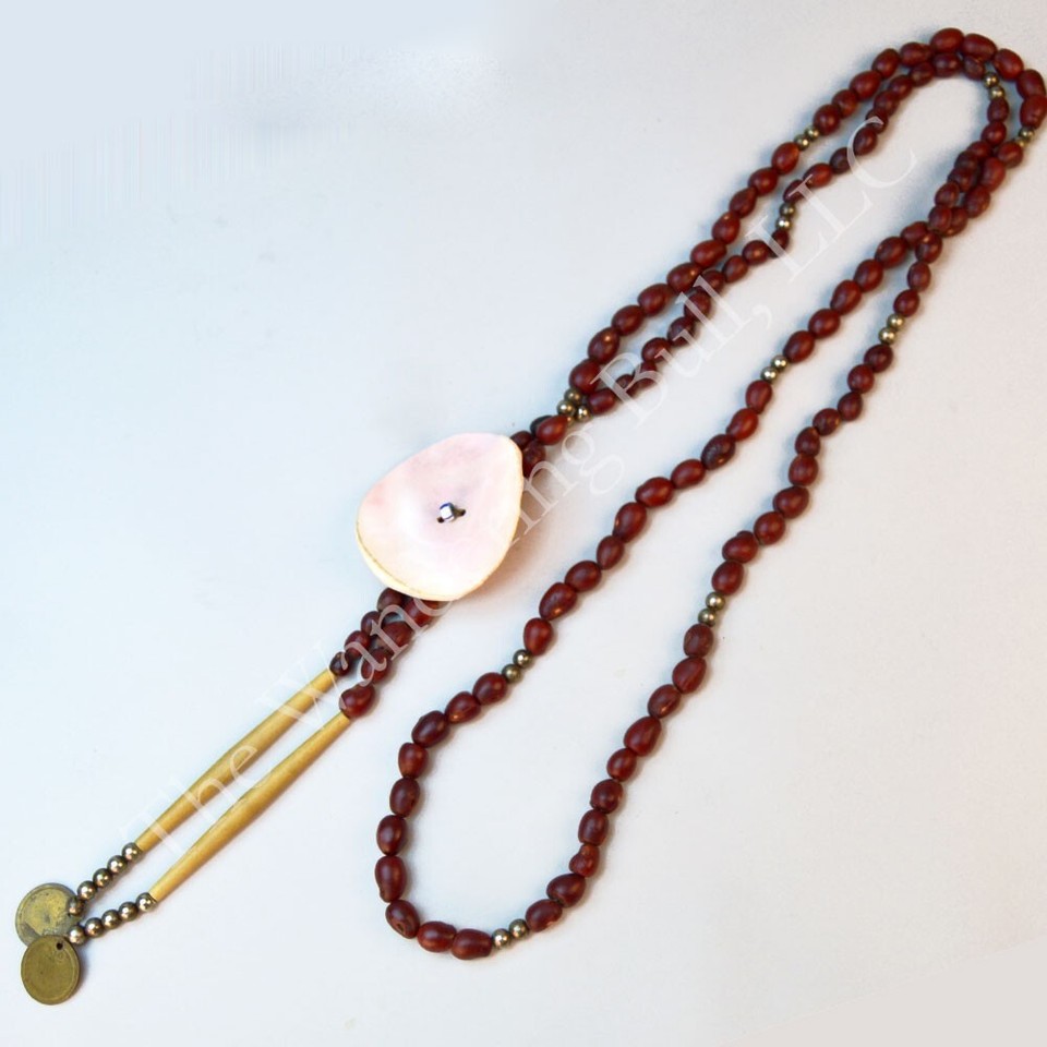 Mescal Beans Texas mountain laurel seeds 200 for Native American