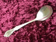 GRAND ELEGANCE Cream / Condiment Ladle Wm Rogers Mfg Co Extra Plate NO MONO NICE