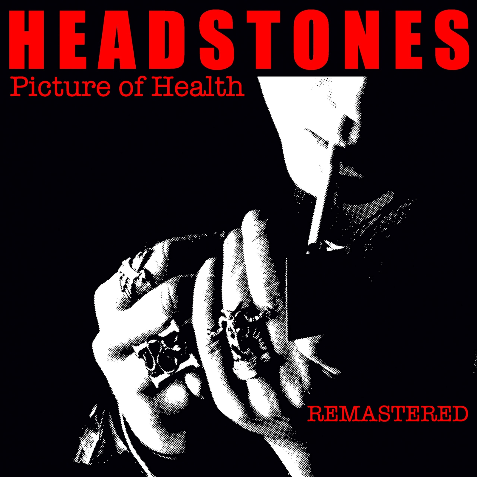 The Headstones Picture Of Health (CD)