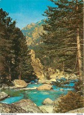 Carte Postale - 20 - Haute Corse - Le Golo dans les Gorges de la Scala di Santa