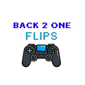 Back2One Flips | eBay Stores